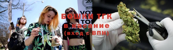 мескалин Мегион
