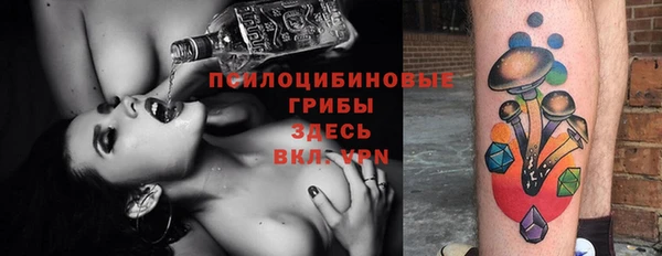 сатива Медвежьегорск