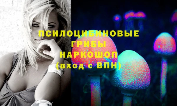 мескалин Мегион