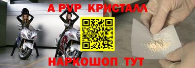 стафф Краснознаменск