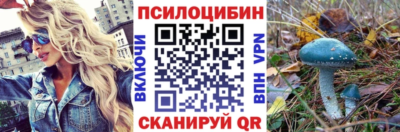 Галлюциногенные грибы мухоморы  где купить   mega ONION  Находка 