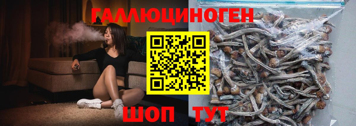 Находка  Галлюциногенные грибы GOLDEN TEACHER  наркота  Псилоцибиновые грибы Magic Shrooms  Вход с VPN 